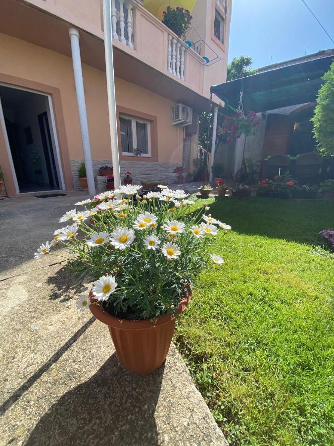 Apartment Dora Zadar Dış mekan fotoğraf